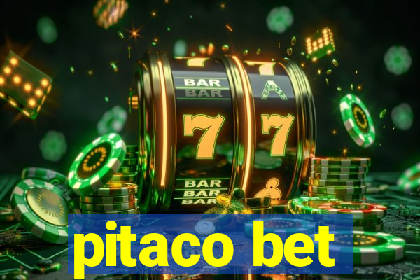 pitaco bet