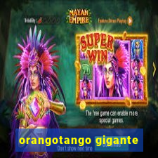 orangotango gigante