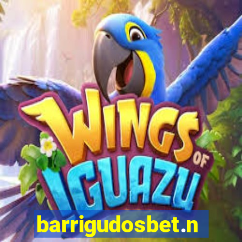 barrigudosbet.net