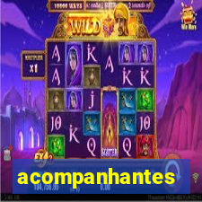 acompanhantes chamadas de video