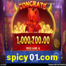 spicy01.com