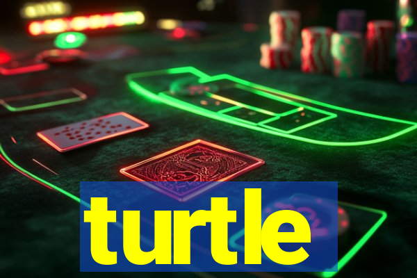 turtle-ty.com